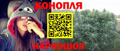 гидра Краснознаменск