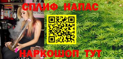 гидра Краснознаменск