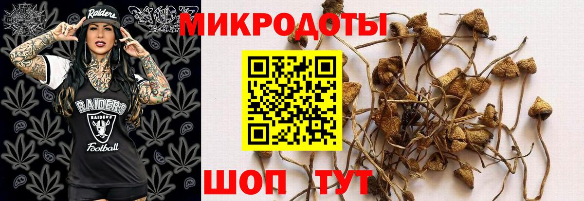 Галлюциногенные грибы GOLDEN TEACHER  Вход с VPN  купить наркотик  Арзамас  Галлюциногенные грибы Magic Shrooms 